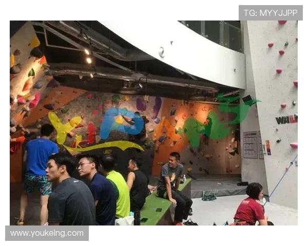 上海极限运动队运营分析与反思探讨其成功与挑战